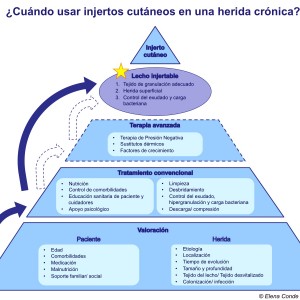 algoritmo injertos cutáneos