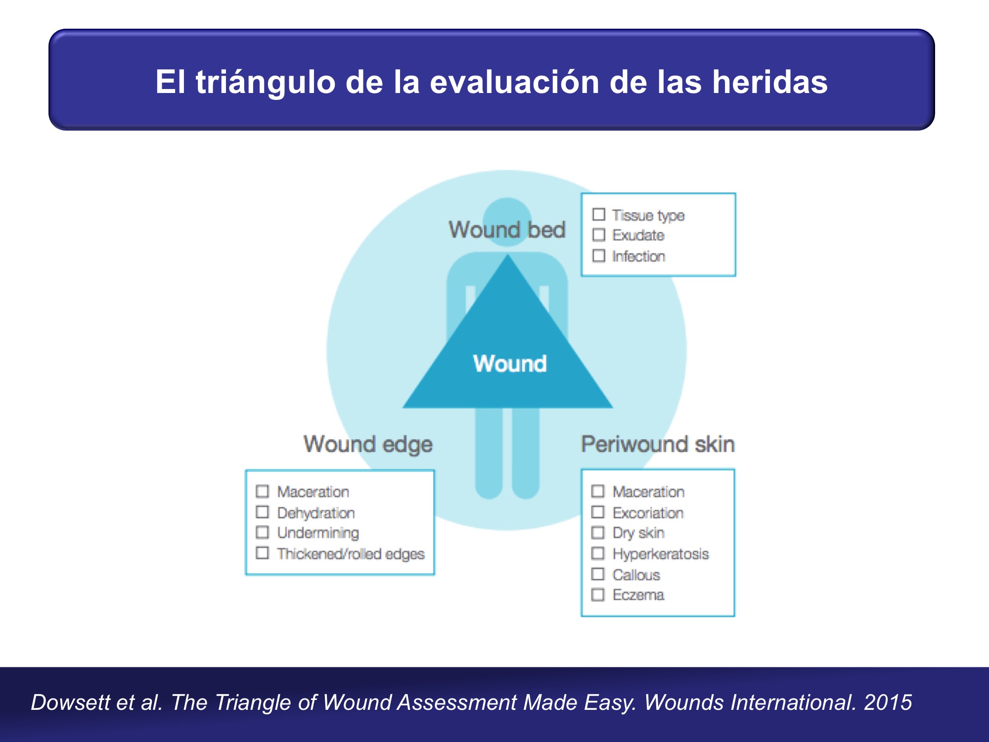 El triángulo de evaluación de las heridas: Más allá del borde de la úlcera  - Elena Conde Montero