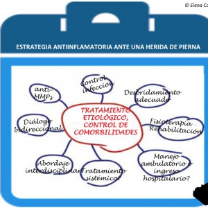 ESTRATEGIA ANTIINFLAMATORIA