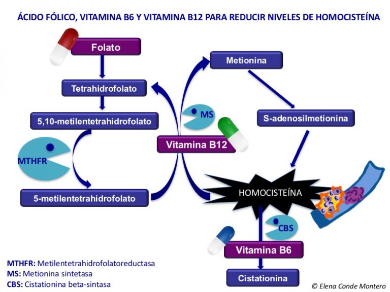 Pioderma gangrenoso parece, úlcera por alteración del metabolismo de la homocisteína es