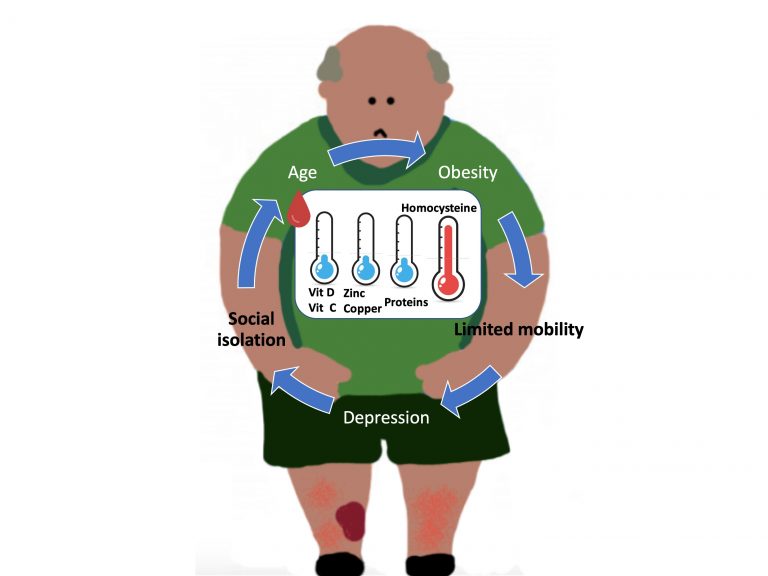 Vitamins, folic acid, proteins and venous ulcer