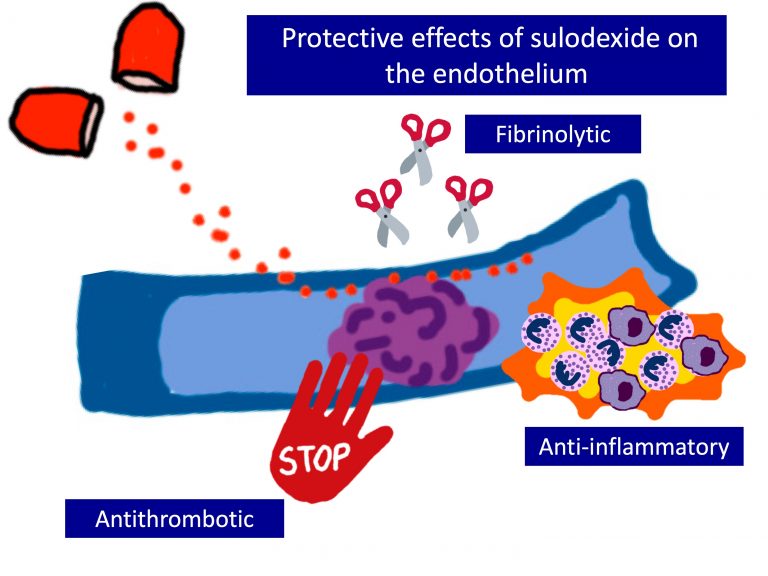 Sulodexide: a pill against endothelial damage from venous hypertension