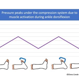 dorsiflexion exercises