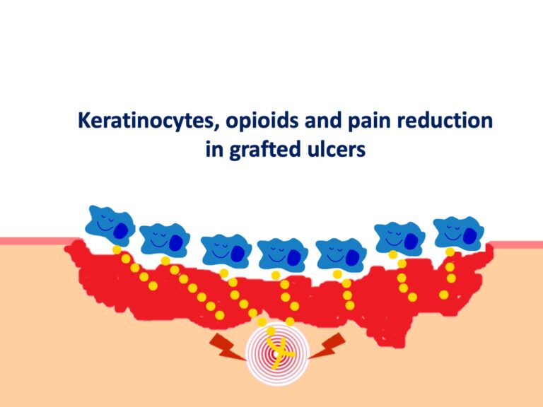 Keratinocytes and their analgesic effect