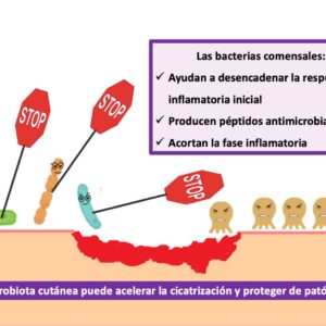 microbiota y heridas